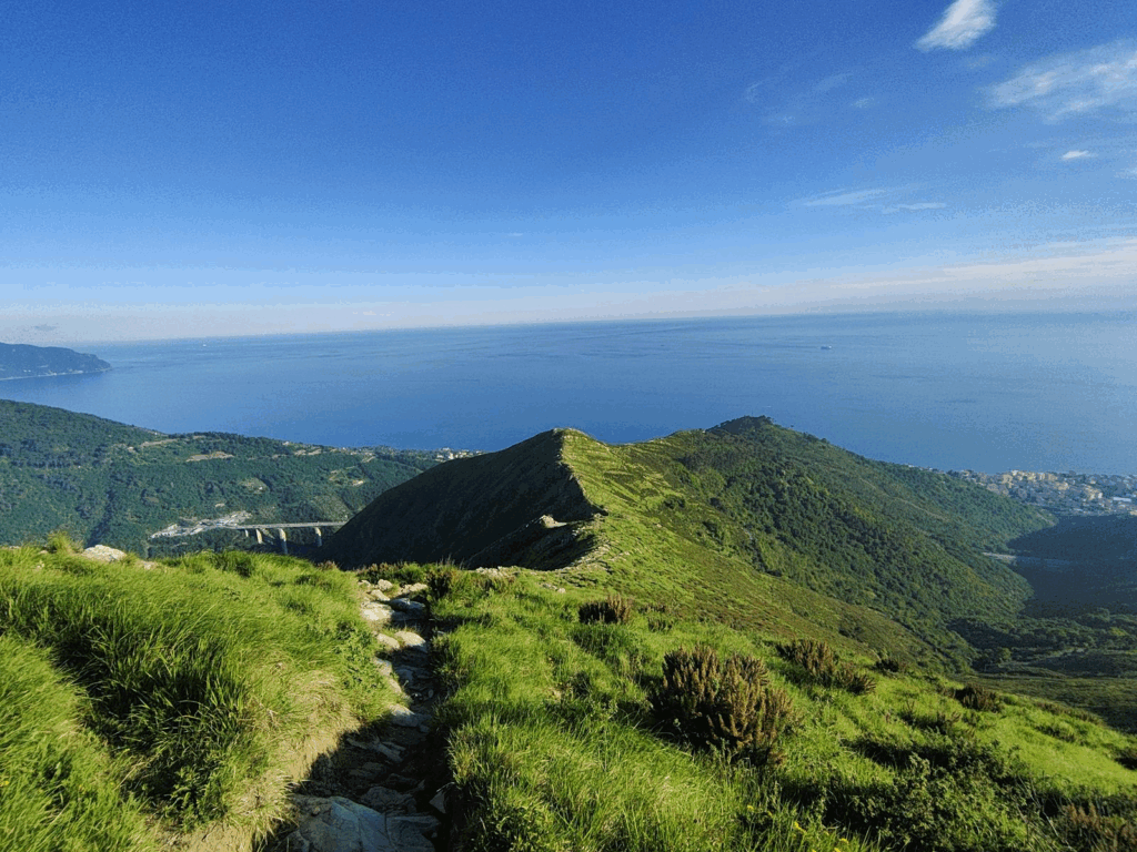 Serramenti Genova Apparizione Serramenti Tigullio vosta apparizione finestre di Design è N.1 in Europa Infissi Genova Porte Finestre Apparizione, Ktermik, Finmistral Finestre, Artigianzena